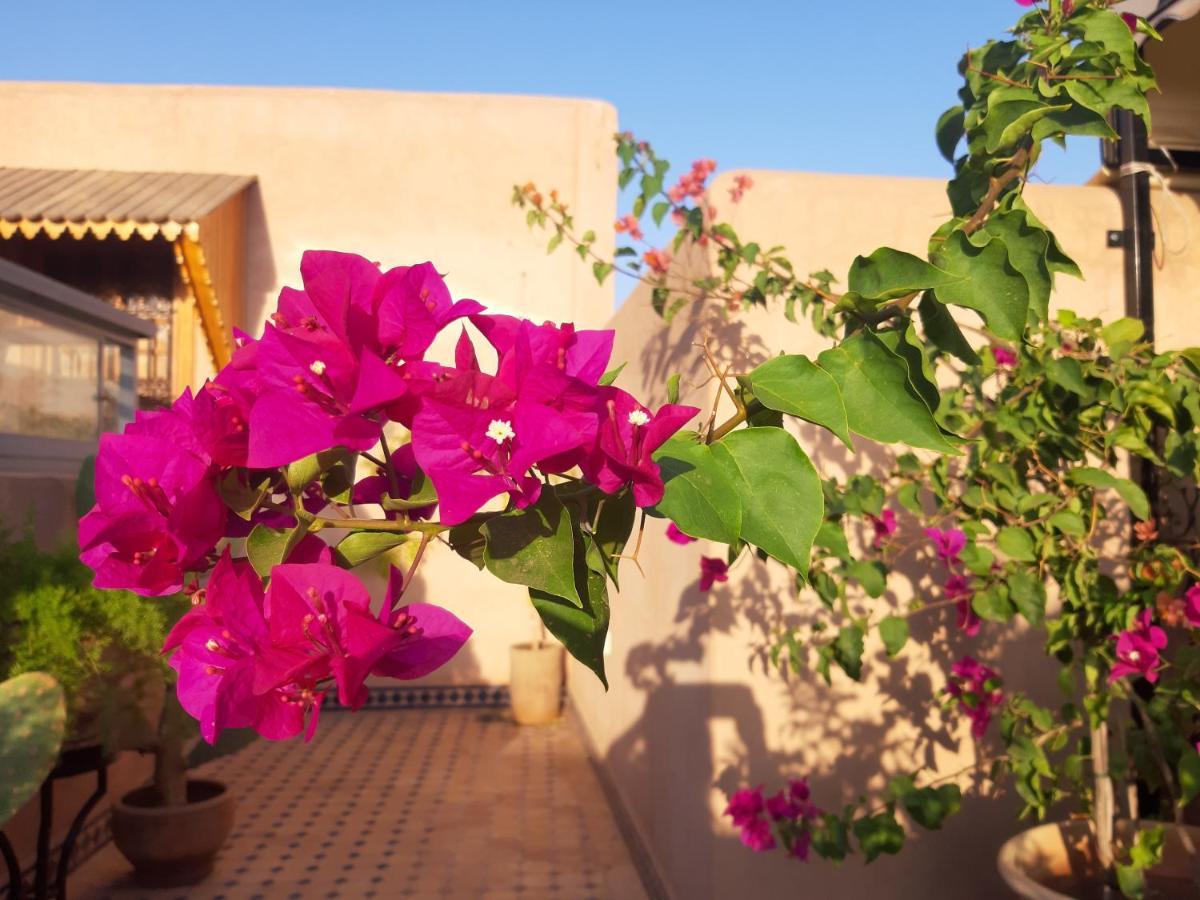 Riad Miral Marrakesh Ngoại thất bức ảnh
